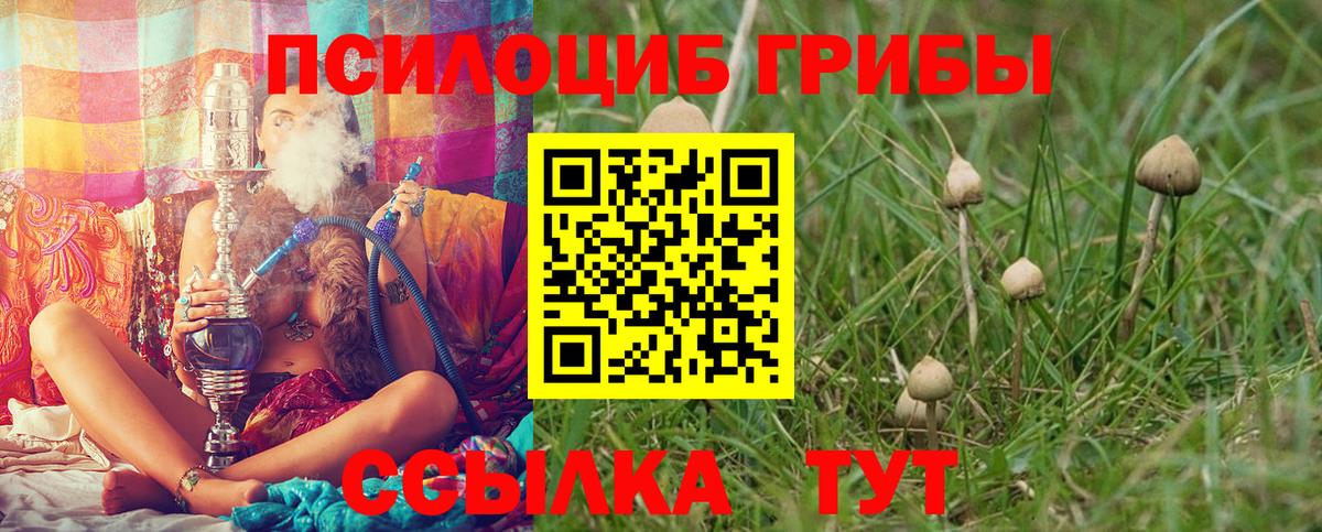 Новоалтайск  Псилоцибиновые грибы MAGIC MUSHROOMS  Галлюциногенные грибы MAGIC MUSHROOMS  Вход с VPN 