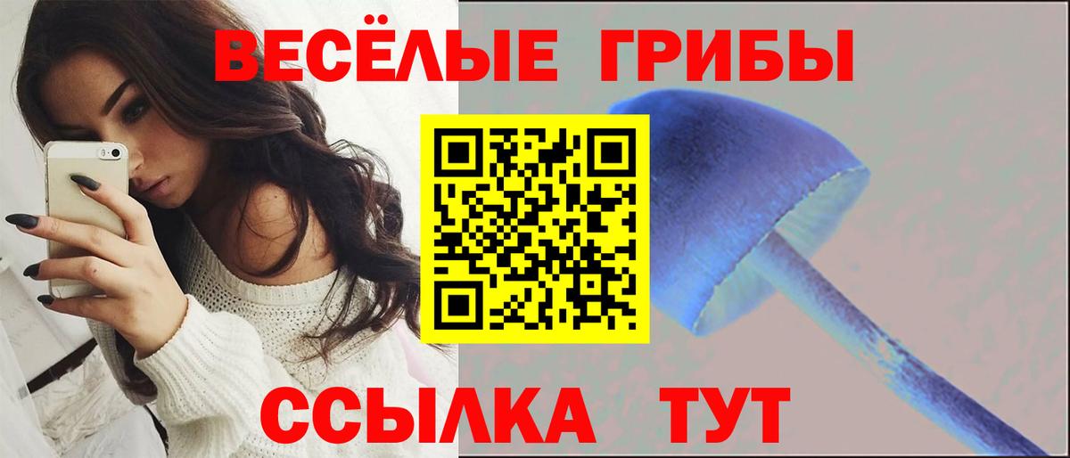 Псилоцибиновые грибы прущие грибы Новоалтайск